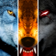 Cover Image of Wolf Online MOD APK 3.5.0 (Unlimited Points)